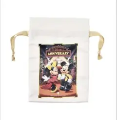 ディズニーストア 巾着 25周年