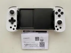 Item thumbnail for item 25990a80-2fb5-4138-8325-0d5f41cb24c8