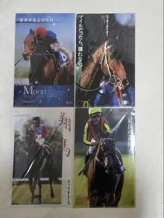 JRA 非売品 クリアファイル セット 2025年最新】Yahoo!オークション -jra 非売品 クリアファイルの中古品