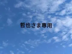 哲也さま専用ページ(巫女さんセット)