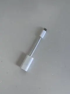 Apple純正 USB-CtoLightnigアダプタ MUQX3FE/A 美品