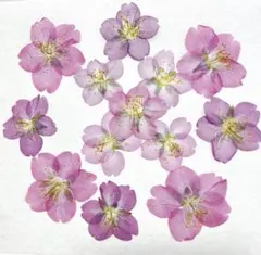 クラフトカモミール様 リクエスト 2点 まとめ商品