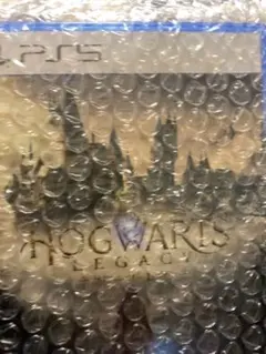 Hogwarts Legacy PS5 ホグワーツレガシー