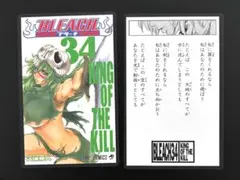 BLEACH ブリーチ 巻頭歌骨牌 34巻 ネル かるた