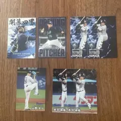 Item thumbnail for item 56990b67-d023-400d-8e66-6f7bd972479d