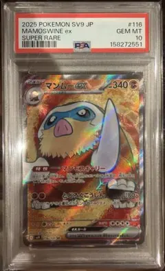 y*a様 ポケモンカード ユキワラシ ポケキュンコレクション PSA10