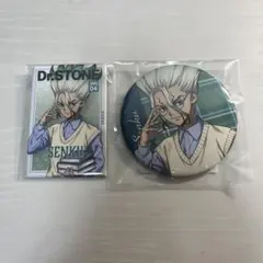 Dr.STONE くじ引き堂 読書の秋 石神千空 缶バッジ