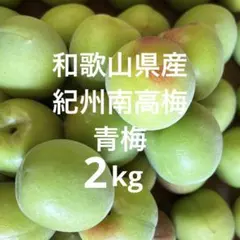 ☆平和 2kg 信州産 あんず 杏 生あんず アプリコット - メルカリ