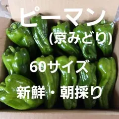 新鮮青パパイヤ箱込み2.5キロ - メルカリ