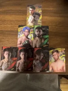 RIZIN ウエハースカード7枚