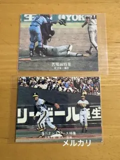 早い者勝ち！ 故　中村勝広 監督 直筆サイン色紙 オリックス バファローズ 2026年最新】Yahoo!オークション -中村勝広 サインの中古品・新品・未
