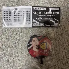 バレーボール男子日本代表 アクリルチャーム　甲斐優斗選手