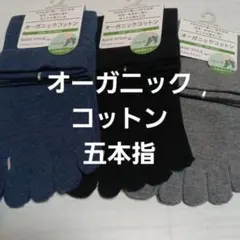 ３足組♪オーガニックコットン　 五本指ソックス(23～25)