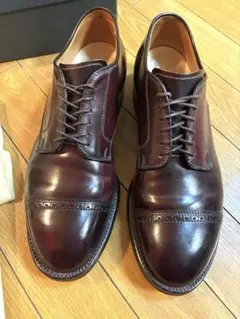 ALDEN 54038 MOC TOE モディファイド コードバン 9.5D - メルカリ