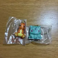 ポケットモンスター　ぺたんこマスコット　2種