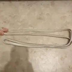 Item thumbnail for item 7f5c8bf0-1230-44e6-a693-5c65642b6d29