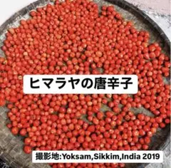 ダイシ様 リクエスト 2点 まとめ商品