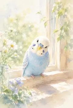 光の花園へ セキセイインコ インコ 鳥 水彩画風 D146 - メルカリ