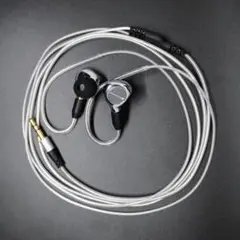 SONY MDR-EX800ST モニターイヤホン Lサイズイヤーピース - メルカリ