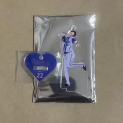 横浜DeNAベイスターズ 入江大生 ガルフェス アクスタ アクリルスタンド