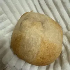 パンプシェード プチブール