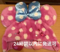 ミニー ファンキャップ パルパルーザ