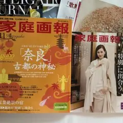 家庭画報 2026年11月号 臨時増刊 プレミアムライト別冊付録とチラシすべて