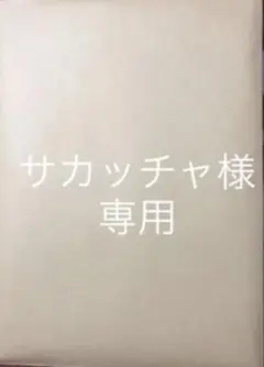 専用