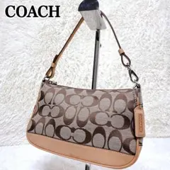 COACH Signature Pochette Accessory Bag