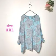 ドゥクラッセ プルオーバーブラウス ドルマンスリーブ 総柄 薄手 水色 3L