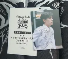 r*!様 Stray Kids スキズ 映画 dominATE 入場特典 トレカ