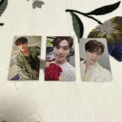 SEVENTEEN ディノ トレカ 入場者限定