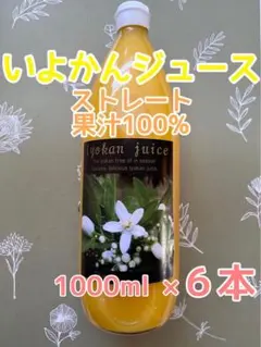 愛媛県産 宮内伊予柑ジュース ストレート果汁100％ 6本入りのサムネイル