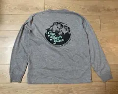 ノースフェイス ロングスリーブフリーランリブクルー ランニング M グレー