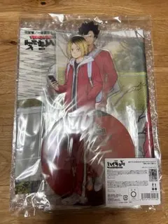 ハイキューゴミ捨て場の決戦 豪華版 TOHO特典 アクスタ 布ポスター