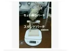 체중 측정용 T42 ☆ 잉꼬 퍼치 스탠드 퍼치