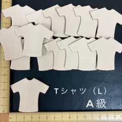 ヌメ革　Ｔシャツ（L）A級　６枚セット