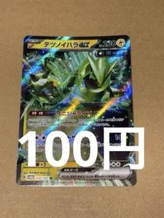 ポケモンカード テツノイバラex