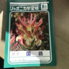 Item thumbnail for item 298cfdc3-8f27-49ff-94d8-f8701bc6ab77