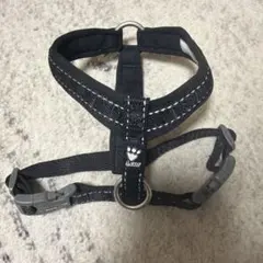 Item thumbnail for item 36f1d699-d949-4a5b-99de-14aa2ad0c94e