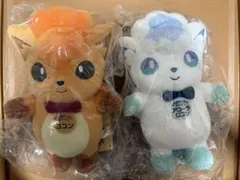 ポケモンActs物産展 北海道だいすき発見隊 アローラロコン ロコン