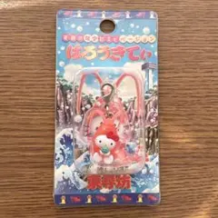 ご当地キティ チャーム 東尋坊限定甘エビバージョン ファスナーマスコット　レア