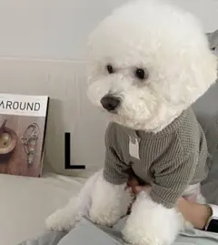 Item thumbnail for item f9945318-0fc9-460f-98ff-a83b45e05e9c