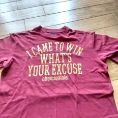 古着　Abercrombie　アバクロ　Tシャツ　　ロゴ入り　サイズ L