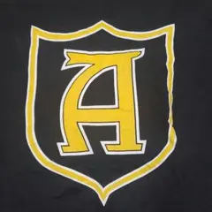 【超激レア】名門アラバマ州立大 マーチングバンド Tシャツ 黒 L カレッジ