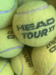 硬式テニスボール55球 HEAD TOUR XT『送料無料』