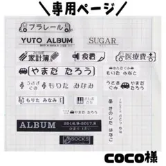 専用