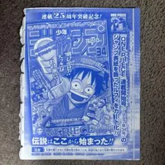 ワンピースカード 週刊少年ジャンプ 36・37合併特大号 付録 ルフィ
