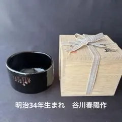 Item thumbnail for item 04255626-3709-4a2d-b6c9-15b24534290e