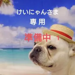 けいにゃんさま　専用ページ